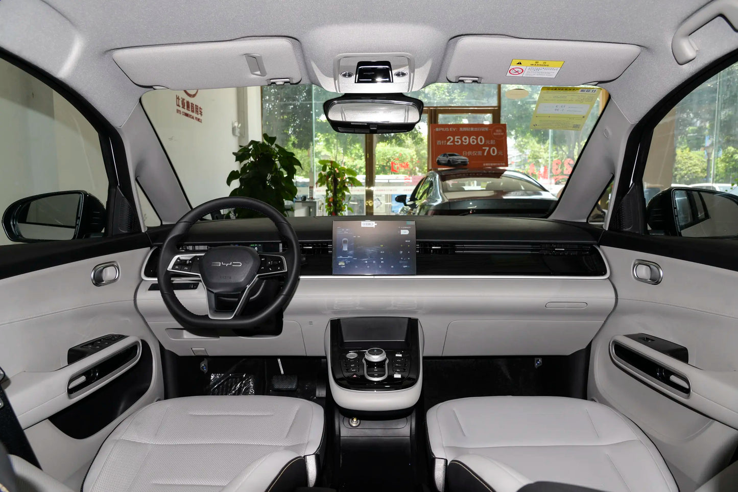 BYD D1