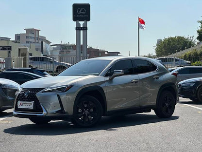 Pre-Owned Lexus UX EV 2020 Model 300e Pure · Joy