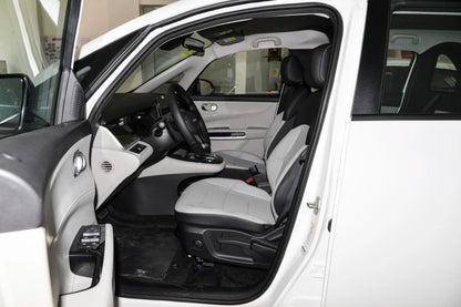 BYD D1