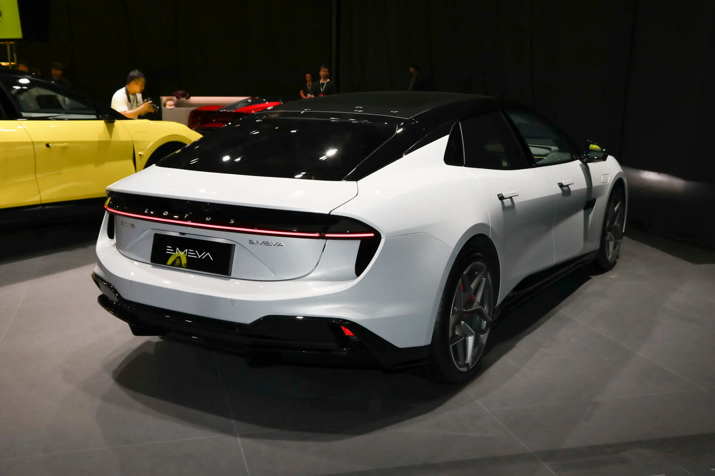 Lotus Emeya