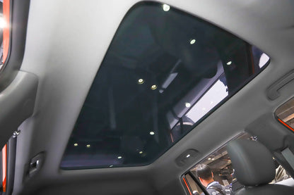 Dongfeng Nammi 06