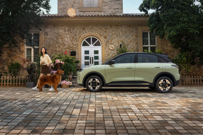 Geely Galaxy Star Wish