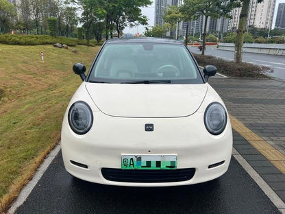 Pre-Owned Yiwei 3 2023 Model 505km Air