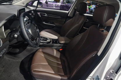 BAIC EU5