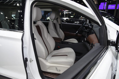 Dayun Yuanzhi M1