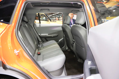 Dongfeng Nammi 06