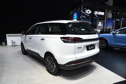 Dayun Yuanzhi M1