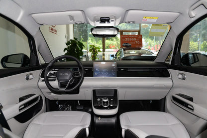 BYD D1