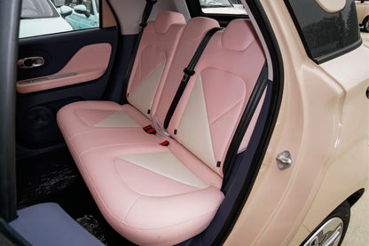 Chery Duomi