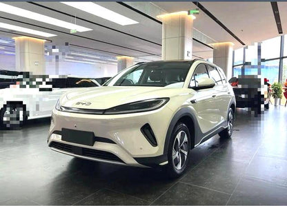 Pre-Owned Sea Lion 05EV 2025 520KM Flagship Intelligent Navigation Edition