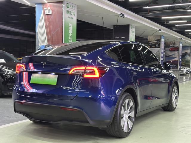 Pre-Owned Tesla Model Y 2021 Long Range All-Wheel Drive Version (3D3/3D7)