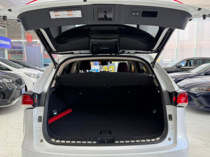 Certificated Used Lexus NX 2018 Edition 200 All-Wheel Drive F Sport Edition China V - u22064709