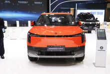 Dongfeng Nammi 06