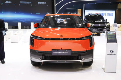 Dongfeng Nammi 06