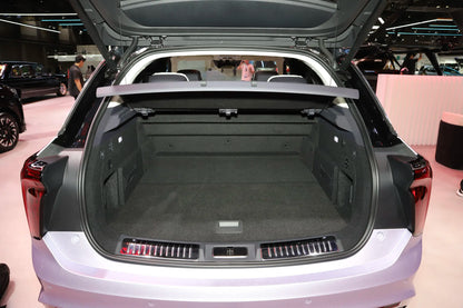 Hongqi E-HS9