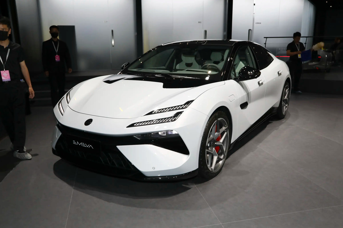 Lotus Emeya