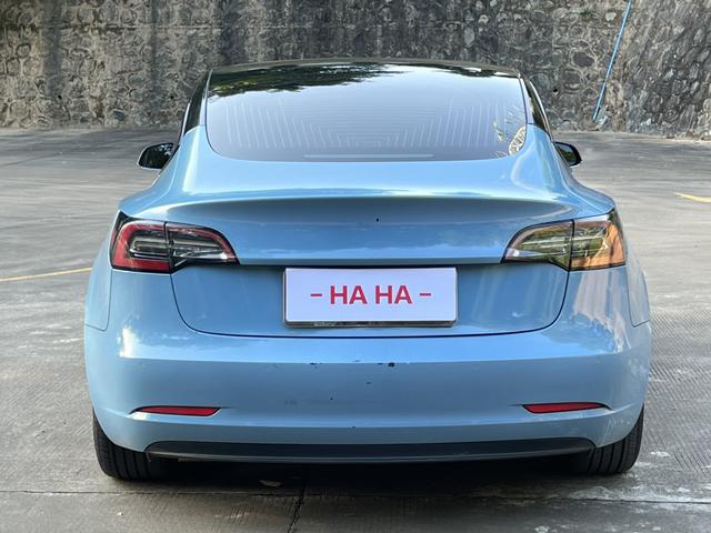 Pre-Owned Tesla Model 3 (Imported) 2019 Long-Range Rear-Wheel Drive Version