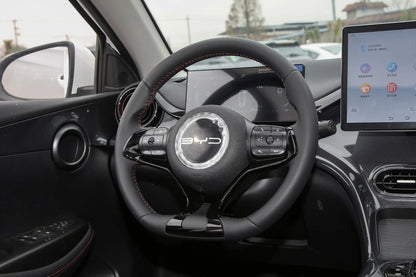 BYD e2